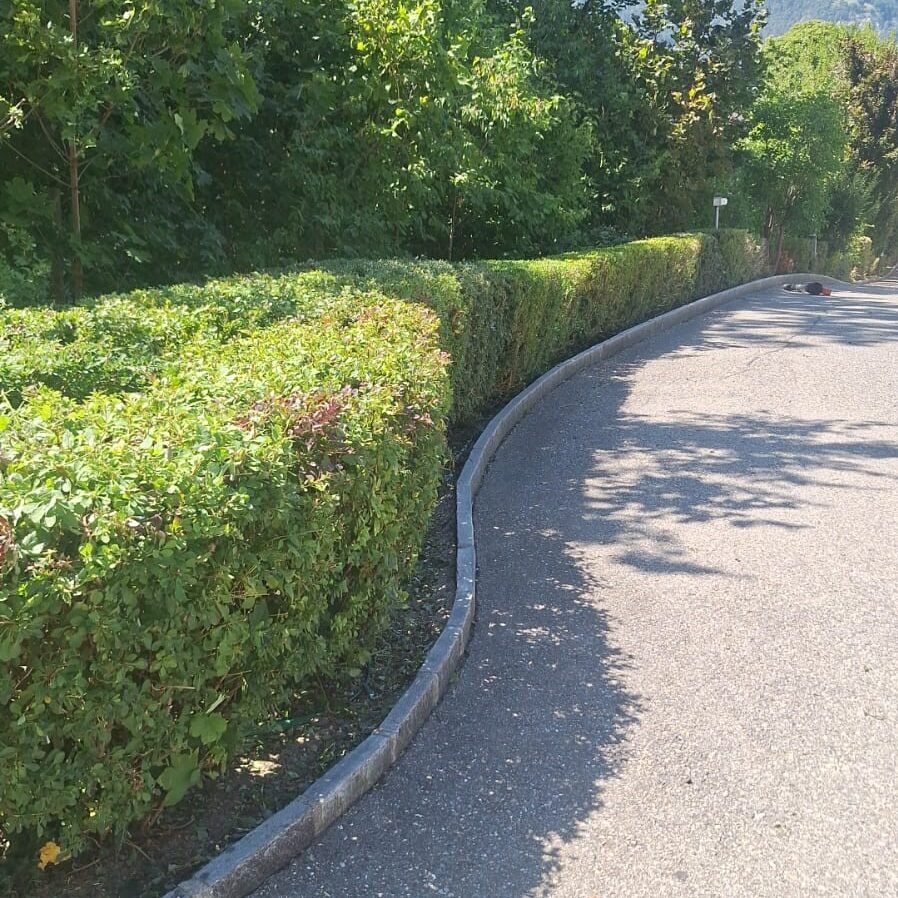 Aussenanlage 4